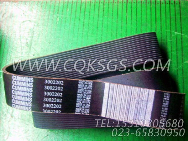 3002202多槽皮带,用于康明斯KTA19-G4动力风扇驱动装置组,【动力电】配件-1