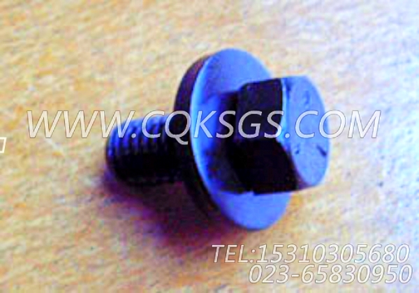 3006182带垫螺钉,用于康明斯NTA855-G2柴油机散热器组,【电力】配件-0
