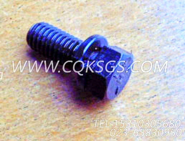3010595带垫螺栓,用于康明斯KTA19-C525柴油发动机手孔盖组,【工程机械】配件-1