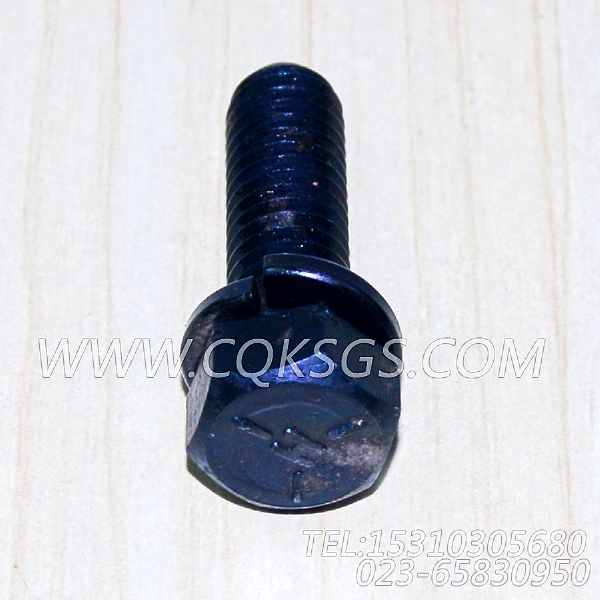 3010596带垫圈螺栓,用于康明斯KTA19-G2(M)动力机油冷却器组,【抽沙船用】配件-1