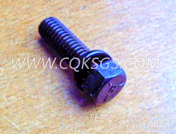3010596带垫圈螺栓,用于康明斯KTA19-C450动力基础件组,【混沙撬】配件-2