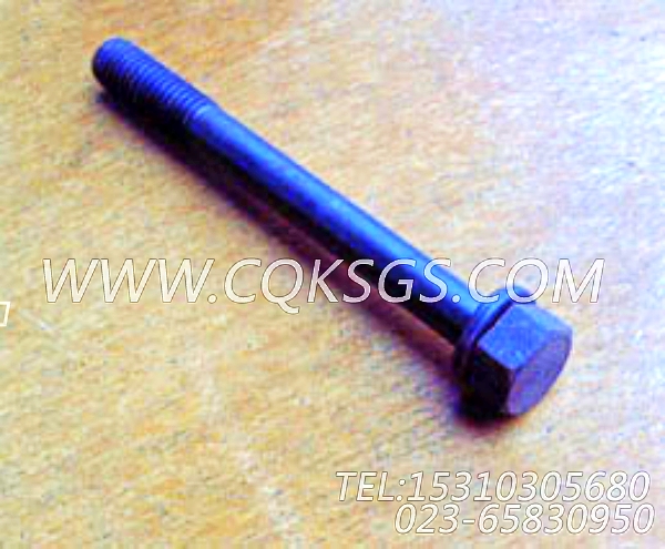 3010597带垫螺栓,用于康明斯KTA19-G3(M)主机节温器.壳.支架总成组,【船用主机】配件-0