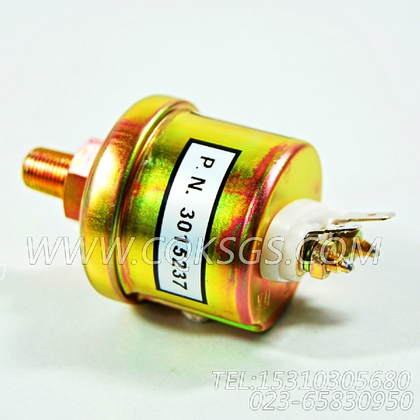3015237油压传感器,用于康明斯NTA855-G1柴油机发动机导线组,【发电用】配件-0