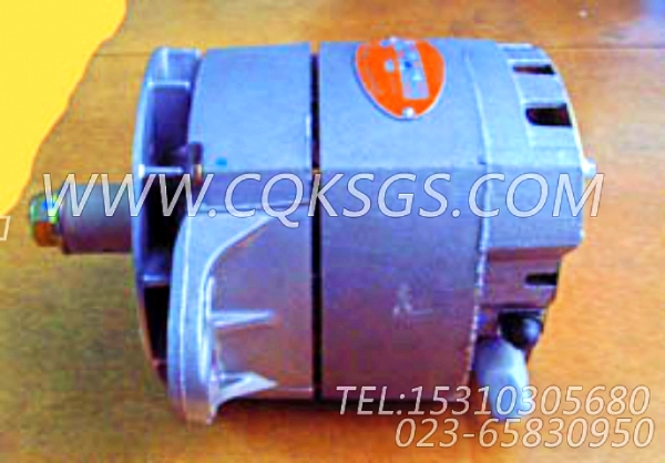 3016627充电机,用于康明斯KTA38-P1070发动机充电发电机组,【水泵机组】配件-0