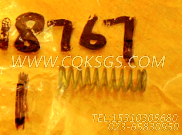 3018767怠速弹簧,用于康明斯NTA855-C310发动机燃油泵总成组,【徐州重机起重机】配件