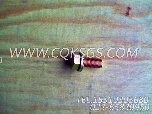 3033822带垫圈螺栓,用于康明斯NTA855-G4柴油机基础件组,【动力电】配件-1