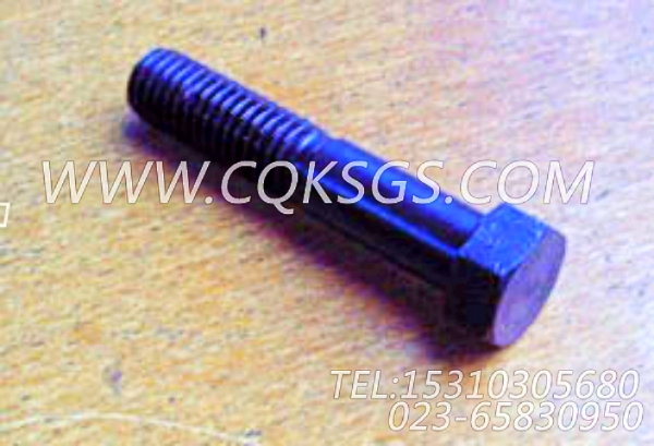 102020六角螺栓,用于康明斯KT38-G柴油机齿轮室安装组,【电力】配件-0