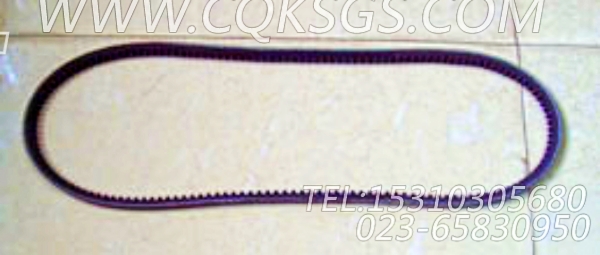 3040292多槽皮带,用于康明斯NT855-P360动力发电机安装组,【水泵机组】配件