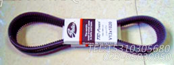 3040292多槽皮带,用于康明斯NT855-P360动力发电机安装组,【水泵机组】配件-2
