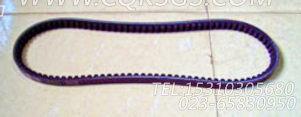 3040385风扇皮带,用于康明斯NTA855-C310柴油机风扇布置组,【平地机】配件-0