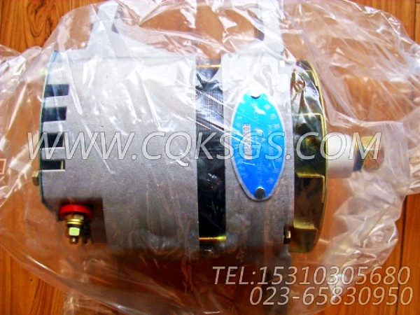 3016627交流发电机,用于康明斯KTA19-P425发动机充电发电机组,【水泵机组】配件-2