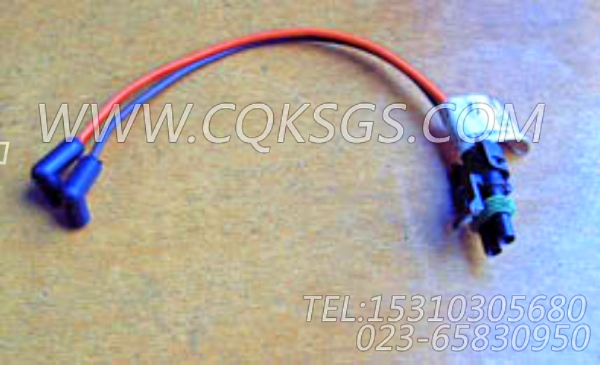 3063683导线(EFC),用于康明斯NTA855-G2动力EFC导线组,【发电机组】配件-2