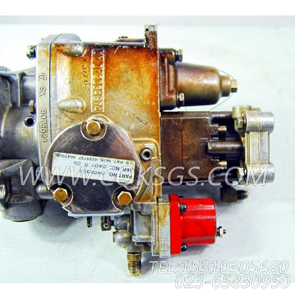 3165399燃油泵,用于康明斯NTA855-G2主机燃油泵总成组,【柴油发电】配件-1