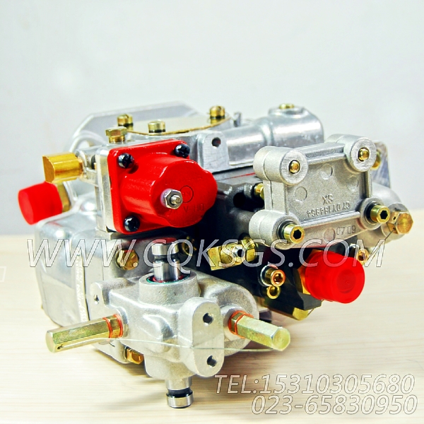 3262175基础燃油泵,用于康明斯NT855-P300动力燃油泵总成组,【应急水泵机组】配件-2