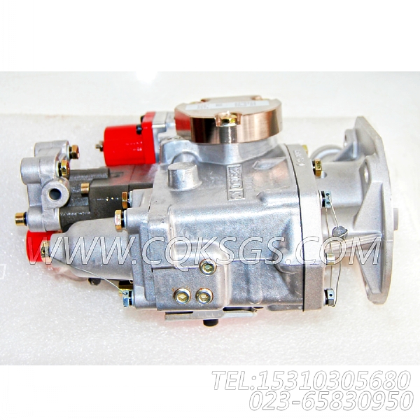 3655642燃油泵总成,用于康明斯NTA855-G1主机燃油泵总成组,【柴油发电】配件-0