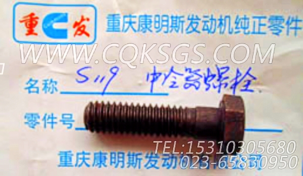 S119六角螺栓,用于康明斯KTTA19-G2主机排气歧管和增压器安装组,【发电机组】配件-2