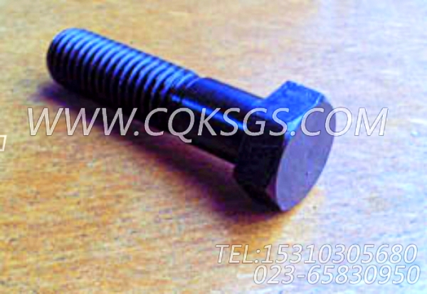 S125六角螺栓,用于康明斯KTA19-G2(M)柴油发动机减振器防护罩组,【轮船用】配件-0