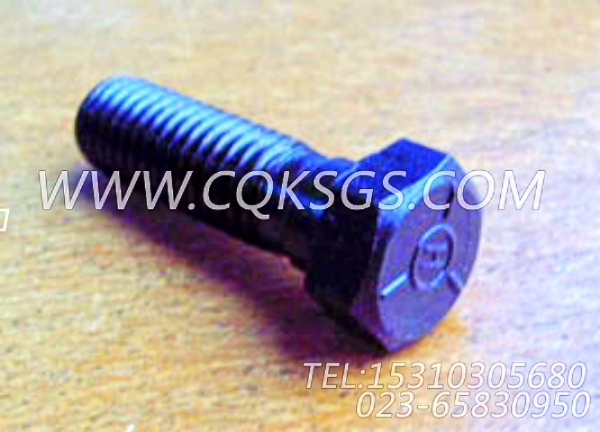 S155六角螺栓,用于康明斯NT855-M300主机排气管及安装组,【船用主机】配件-0