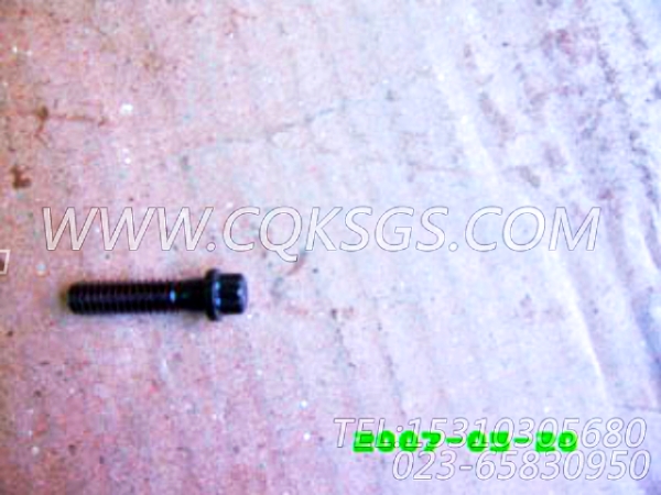 3001811十二角螺栓,用于康明斯KTA19-P540动力基础件组,【水泵机组】配件-0