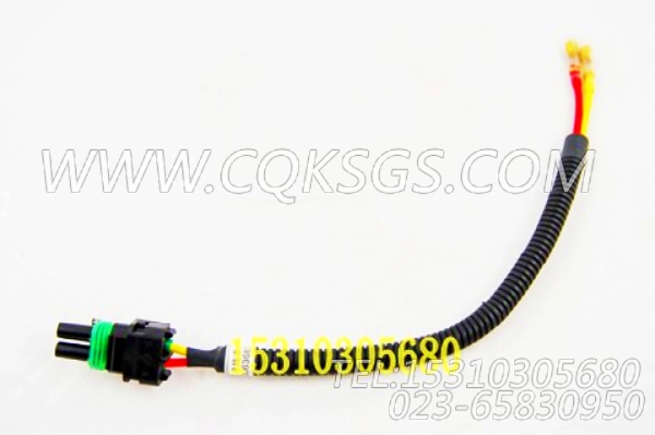 3063683导线(EFC),用于康明斯KT38-G-550KW主机燃油泵及调速器组,【发电用】配件-0