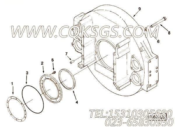 Retainer, Rear Oil Seal