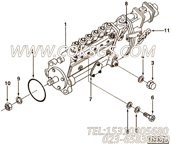 【发动机6CT8.3-G的基本燃油泵组】 康明斯燃油喷射泵,参数及图片