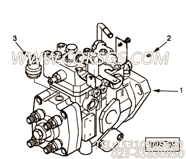 【喷油泵】康明斯CUMMINS柴油机的4900804 喷油泵