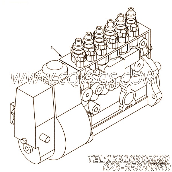 【发动机6LTAA8.9-C325的基本燃油泵组】 康明斯燃油喷射泵,参数及图片