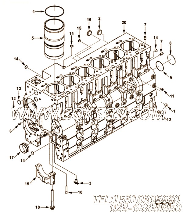 【柴油机6CTAA8.3-C220的缸体组】 康明斯缸体总成,参数及图片