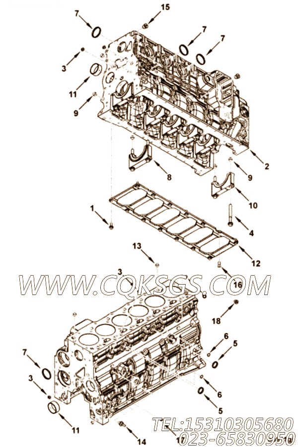 【发动机QSB4.5-C152的缸体组】 康明斯圆头螺钉,参数及图片
