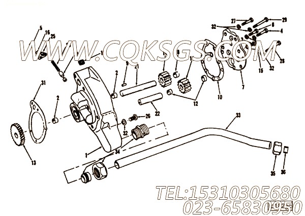 117897六角螺栓,用于康明斯NT855-C250发动机机油泵组,【挖掘机】配件