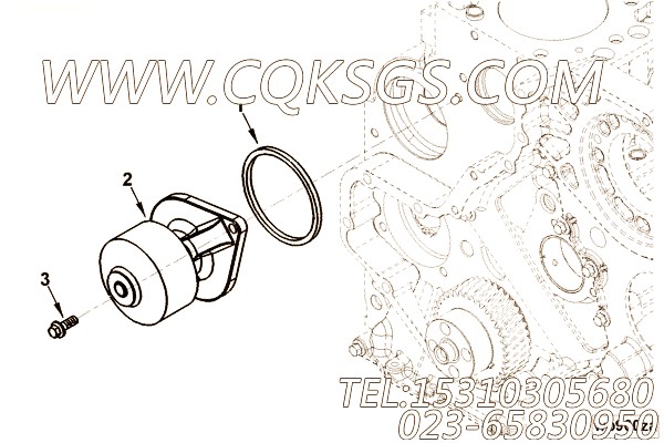 【柴油机4B3.9-G的水泵驱动件组】 康明斯矩形密封圈,参数及图片