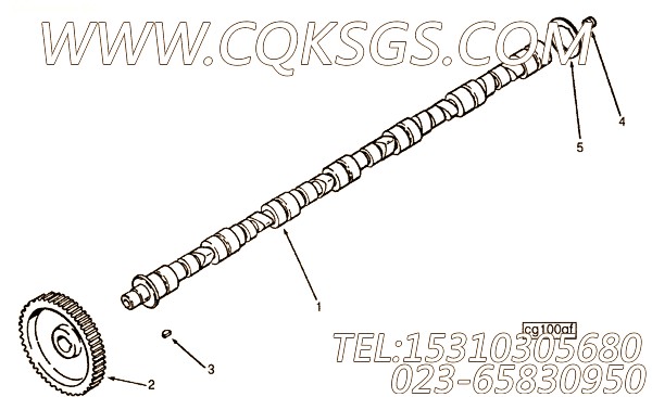 3021592键,用于康明斯NT855-C310动力性能件组,【特雷克斯矿用自卸车】配件