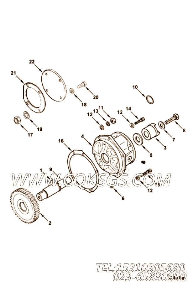 207253辅助传动齿轮,用于康明斯KTA38-P1070柴油发动机附件驱动组,【水泵机组】配件