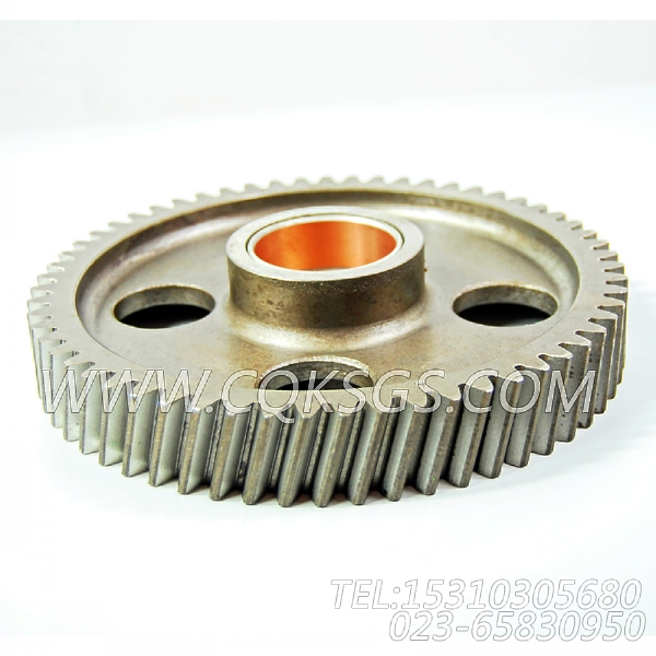 3004684凸轮轴中间齿轮,用于康明斯KTA19-P540柴油机基础件（船检）组,【水泵机组】配件-0