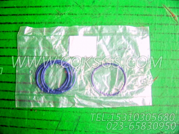 【Ø形密封圈】康明斯CUMMINS柴油机的3010510 Ø形密封圈-1