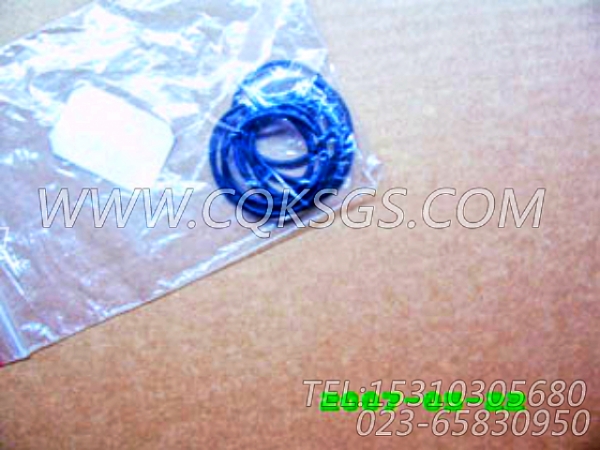 【Ø形密封圈】康明斯CUMMINS柴油机的3010510 Ø形密封圈-0