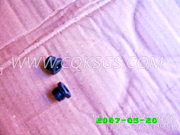 3031404油管接头,用于康明斯KTA38-G2-600KW主机基础件组,【动力电】配件-0