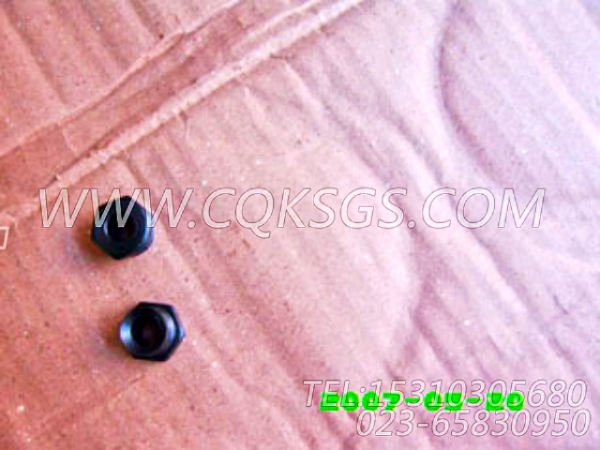 3031404油管接头,用于康明斯KTA38-G2-600KW主机基础件组,【动力电】配件-1