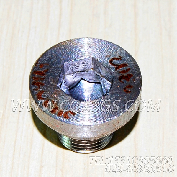 3038903摇臂轴堵塞,用于康明斯NT855-P300柴油发动机基础件（船检）组,【泥浆泵】配件-2