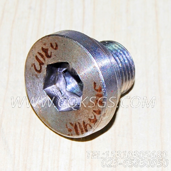 3038903摇臂轴堵塞,用于康明斯NTA855-G4主机凸轮从动件室组,【发电机组】配件-1