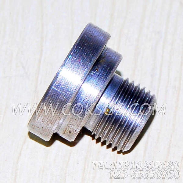 3038903摇臂轴堵塞,用于康明斯NTA855-C360柴油机基础件组,【铣刨机】配件-1