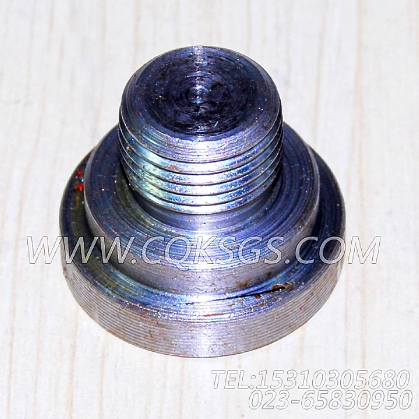 3038903摇臂轴堵塞,用于康明斯NTA855-G2(M)60Hz动力基础件组,【船用主机】配件-2