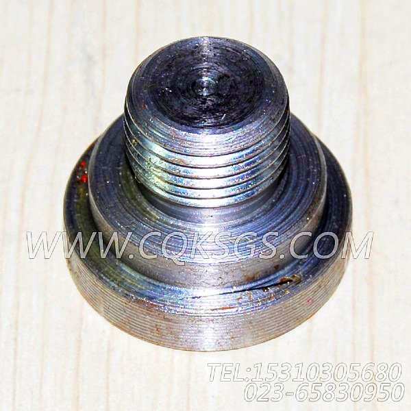 3038903摇臂轴堵塞,用于康明斯NT855-P300柴油发动机基础件（船检）组,【泥浆泵】配件-1