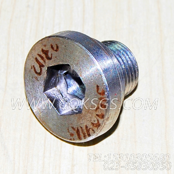 3038903摇臂轴堵塞,用于康明斯NTA855-C360柴油机基础件组,【铣刨机】配件-0