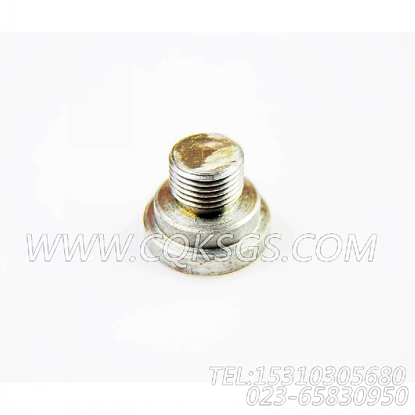 3038903摇臂轴堵塞,用于康明斯NTA855-G2柴油机基础件组,【柴油发电】配件-2