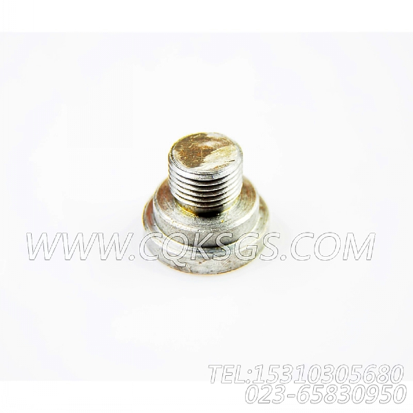 3038903摇臂轴堵塞,用于康明斯NT855-C280动力基础件组,【垃圾压实车】配件-1