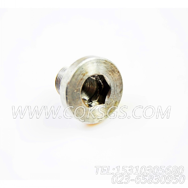 3038903摇臂轴堵塞,用于康明斯NTC-290柴油发动机凸轮从动件室组,【固井水泥车】配件-0