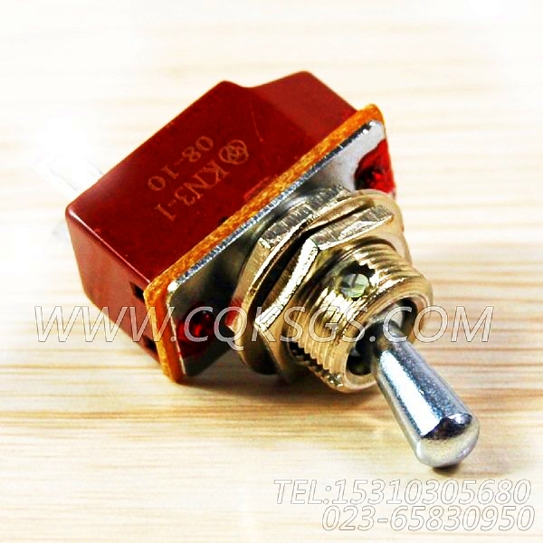 104215跳动式开关,用于康明斯NT855-C250柴油发动机仪表板组,【修井机】配件-2