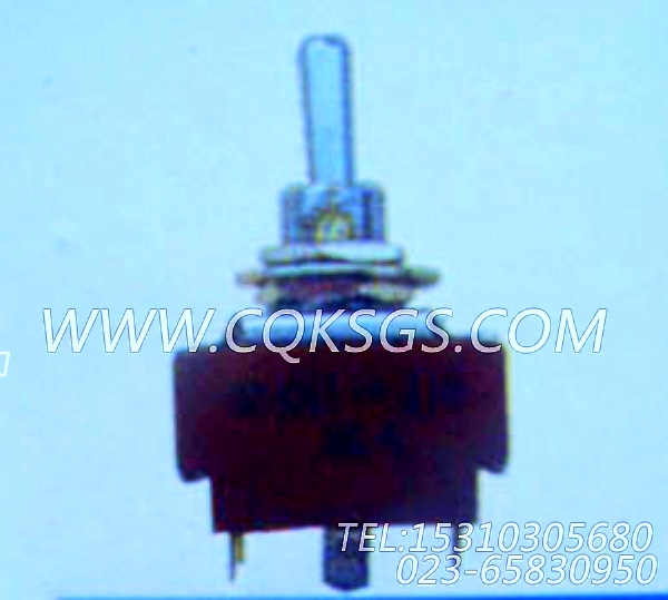 104215跳动式开关,用于康明斯NTA855-G2-250KW主机仪表板组,【发电机组】配件-1